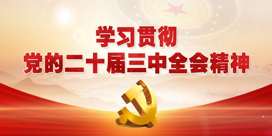 学习贯彻党的二十届三中全会精神